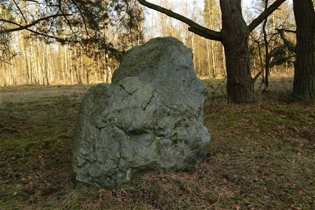 Ook Natuurpunt zoekt de Grauwe Steen