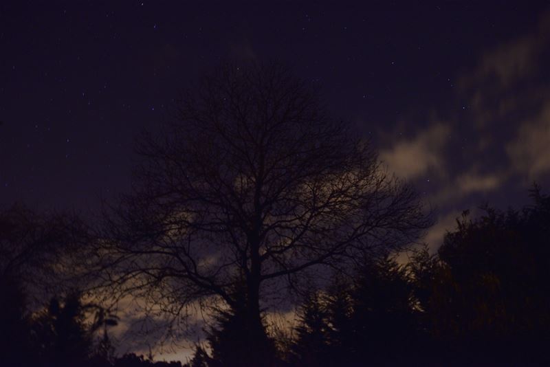 Ook 's nachts een verrassende lucht