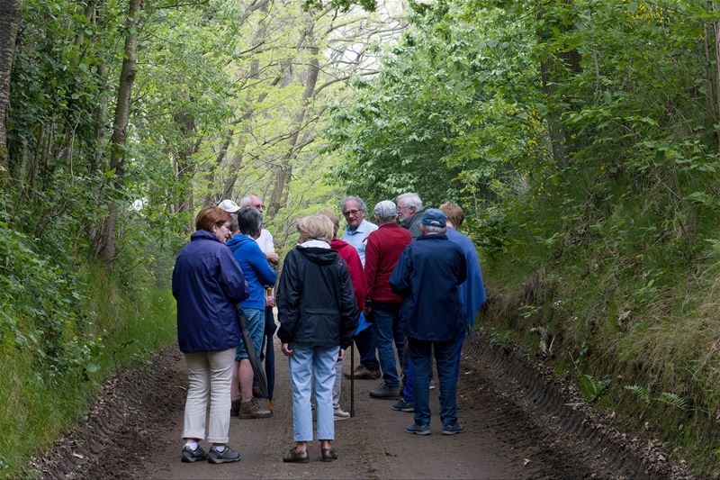 Op wandel door de holle wegen in Halen