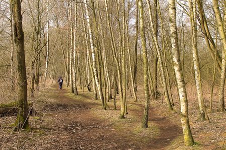 Op wandel in de pseudo-lente