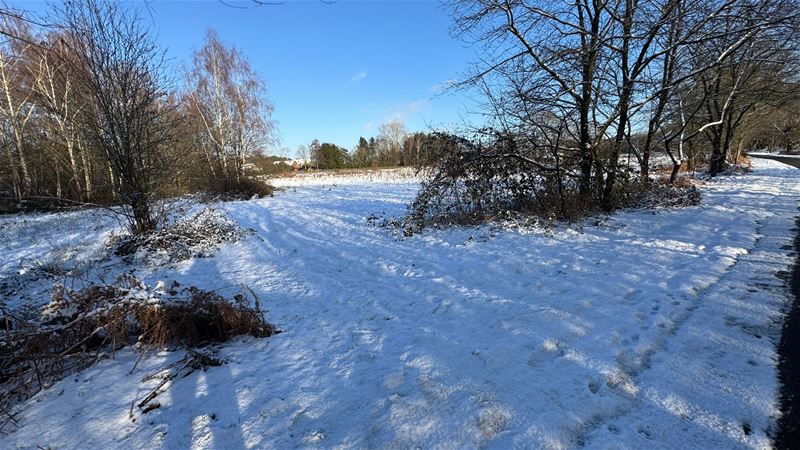 Op wandel in de sneeuw