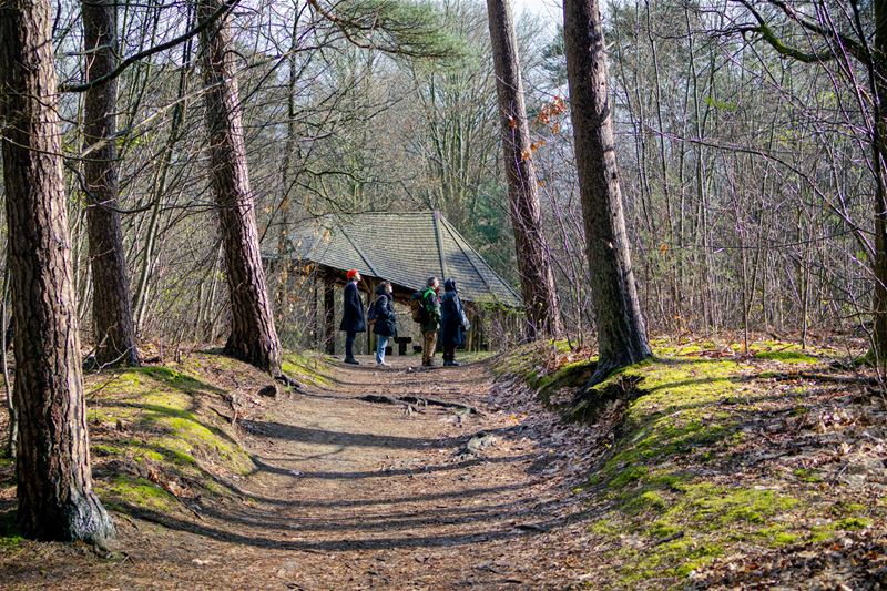 Op zoek naar poëzie tussen de bomen