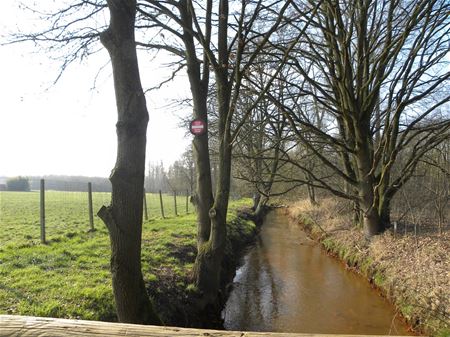 Over de grenzen van Heusden-Zolder (11)