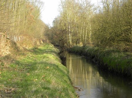 Over de grenzen van Heusden-Zolder (5)