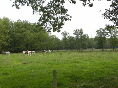 Over de grenzen van Heusden-Zolder (7)