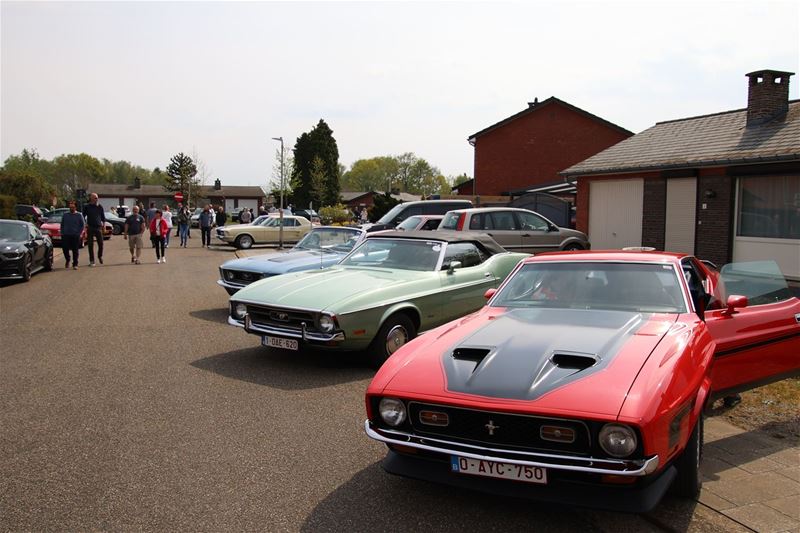 Over twee weken is 't Mustang Fever