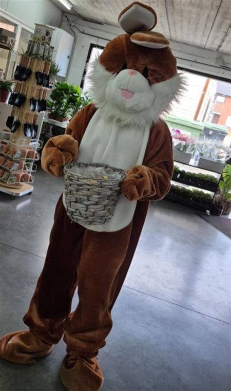 Paashaas is op pad op de Cité