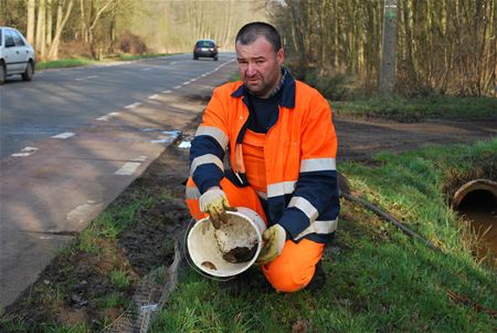 Padden en kikkers worden overgezet