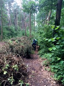 Paden Ubberselbos bezaaid met takken