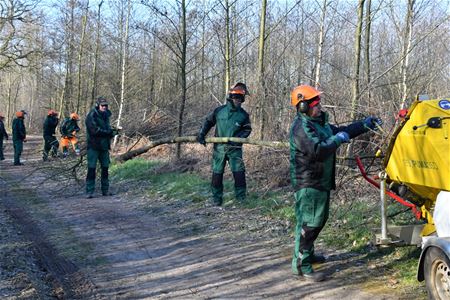 Parkrangers willen ook na 2019 aan de slag blijven