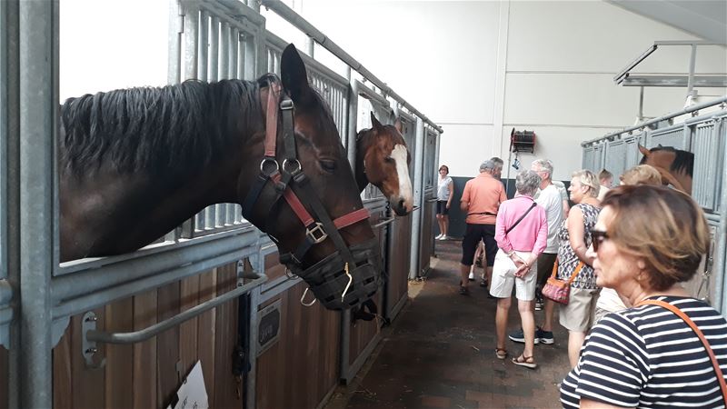 Pasar fietste naar de paardenkliniek in Lummen