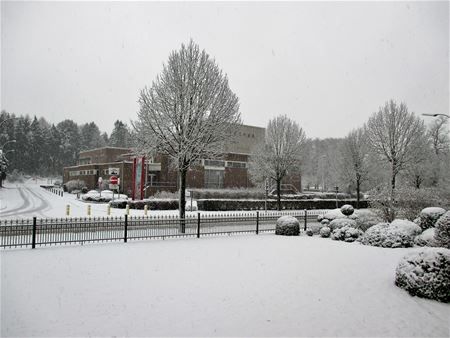 Pittoreske beelden uit Zolder