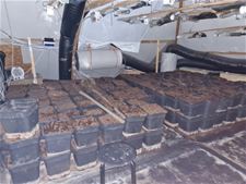 Politie vindt cannabisplantage bij arrestatie