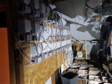 Politie vindt 2de cannabisplantage in Diepenbeek