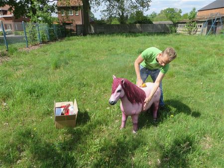 Pony kreeg make-over voor Berenweekend