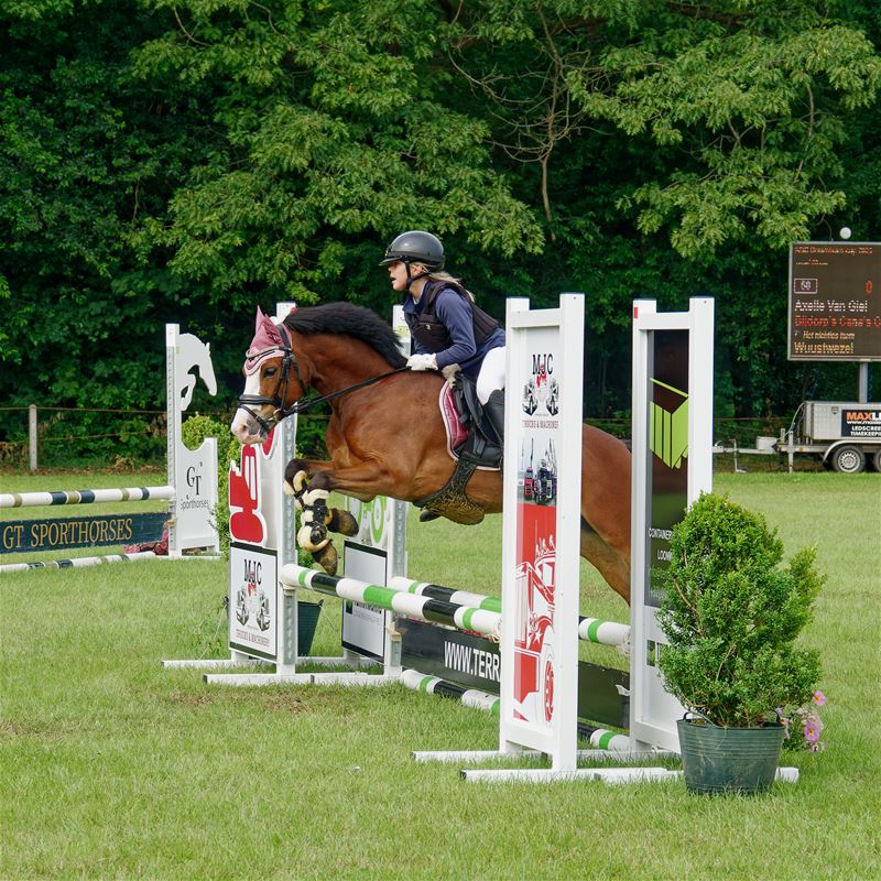 Pony's kunnen ook over de balken springen