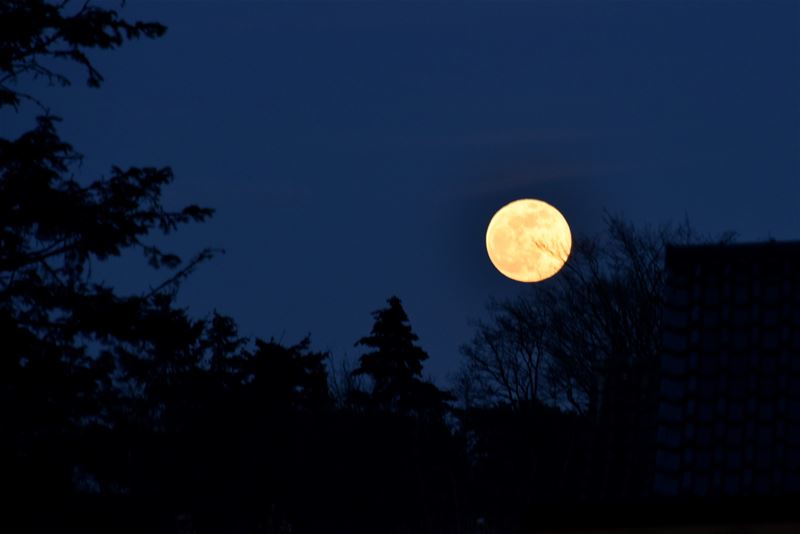 Prachtige supermaan vanavond