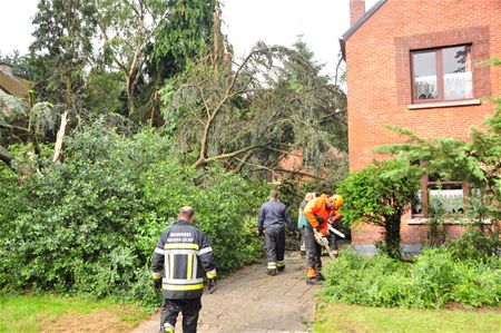 Ravage in de Kerkenblookstraat