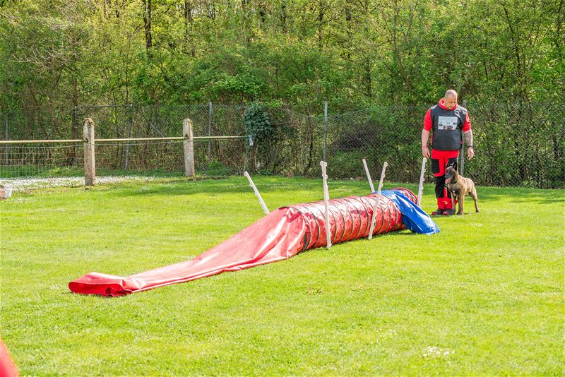 Reddingshonden doen gehoorzaamheidsproeven