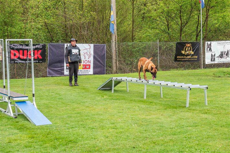 Reddingshonden maakten kennis met Helzoldterrein