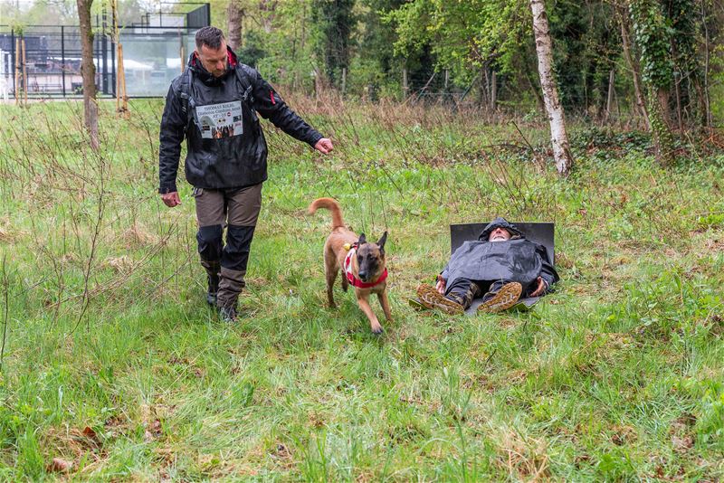 Reddingshonden zoeken slachtoffers in Helzoldbos