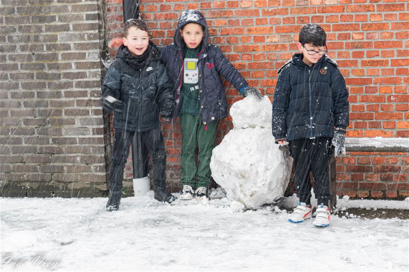 Reuze sneeuwballen in De Brug
