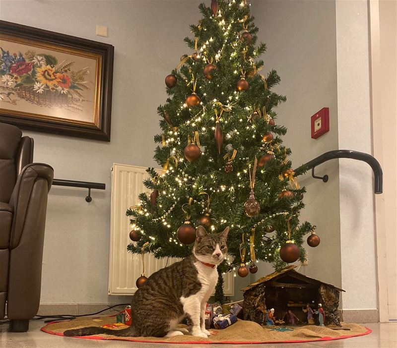 Robin is de nieuwste bewoner van De Bloemelingen