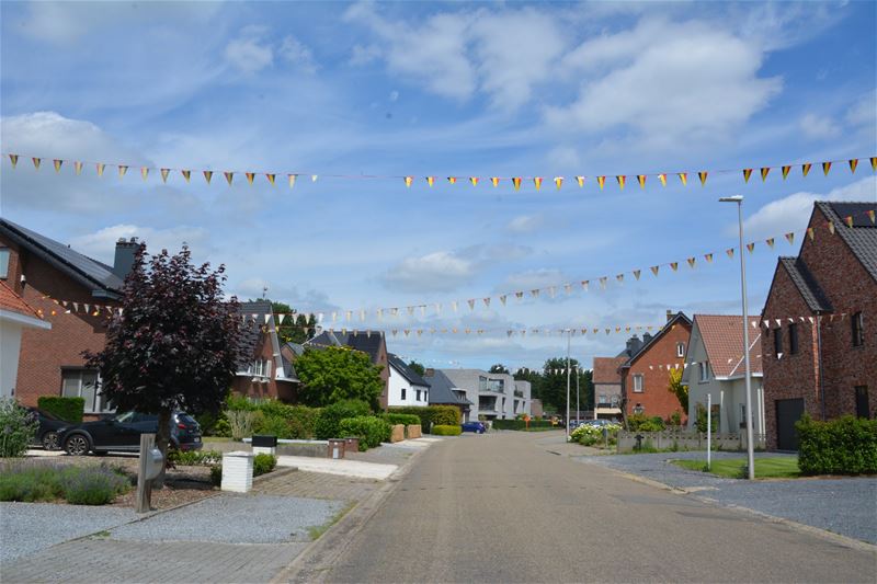 Rode Duivels: het komt stilaan op gang ...