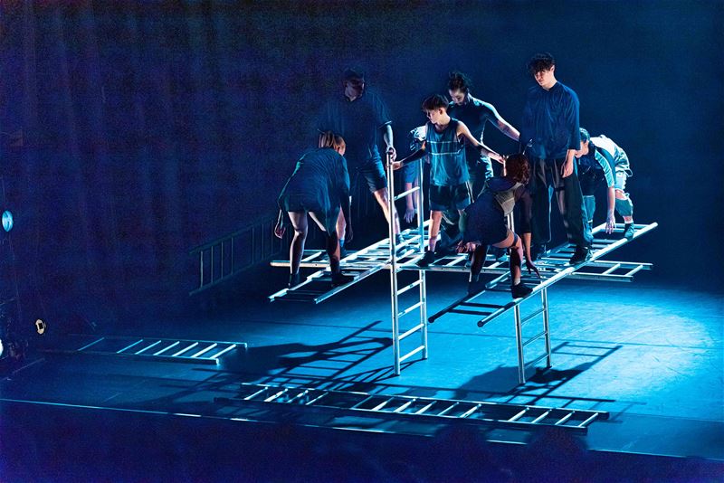 Samen naar boven dansen op ladders