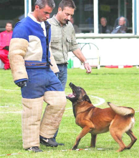 Samenspel tussen hondje en baas