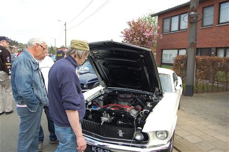 Schaapsweg getroffen door Mustang-koorts