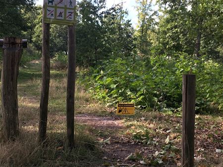 Schrikdraad rond Galgenberg staat er