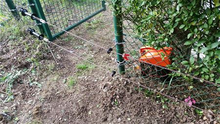 Schrikdraad rond kerkhof is aangebracht