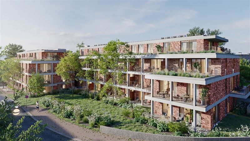 Schuttershof: huren aan lagere prijzen in Zolder