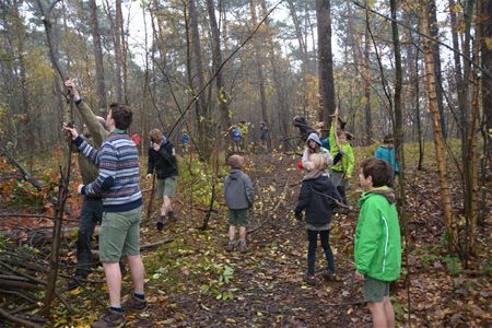 Scouts aan de slag in natuurgebied