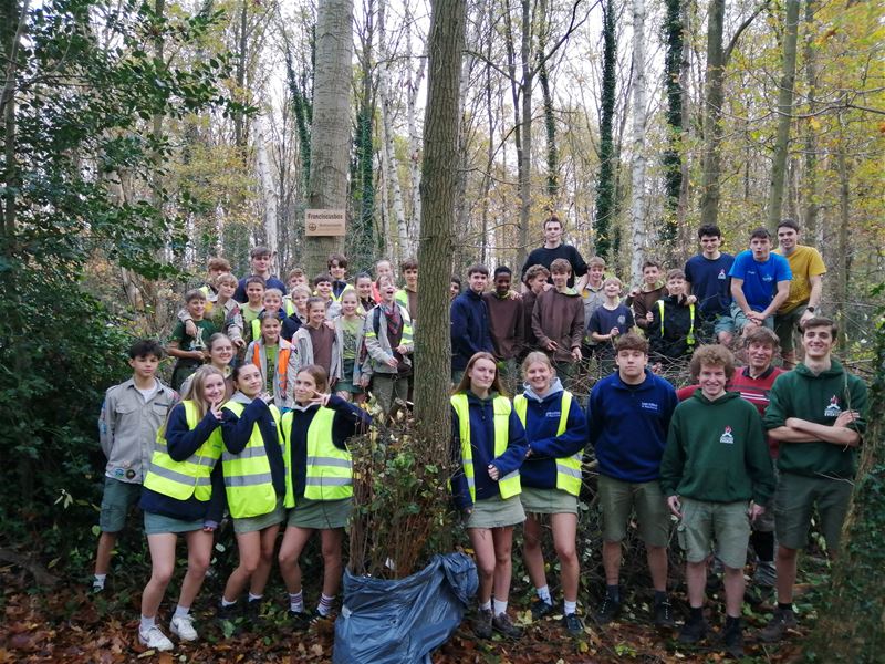 Scouts Eversel staken Natuurpunt een handje toe