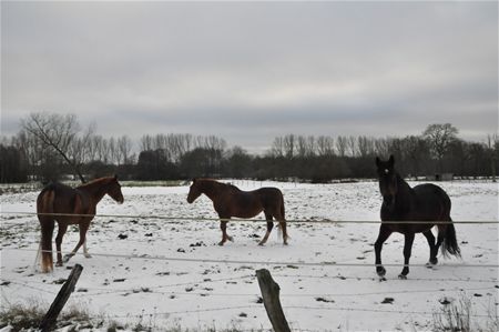 sfeervolle beelden