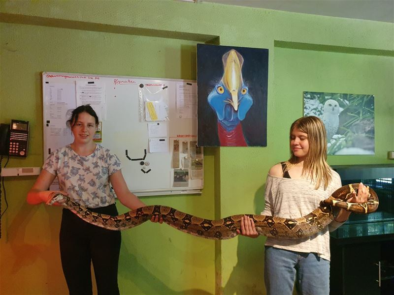 Slang van drie meter in het VZOC