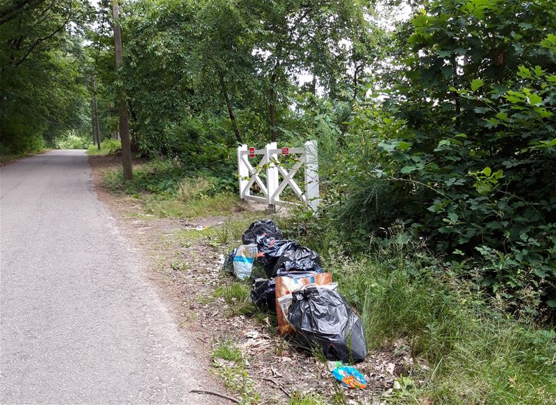 Sluikstorters voor gesloten poort