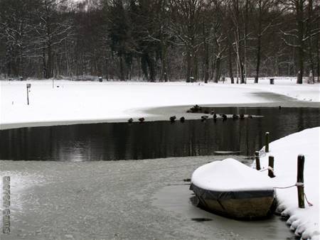 Sneeuwfoto's uit Heusden-Zolder