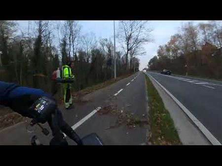 Snoeiwerken voor zichtbaarheid Terlaemenlaan