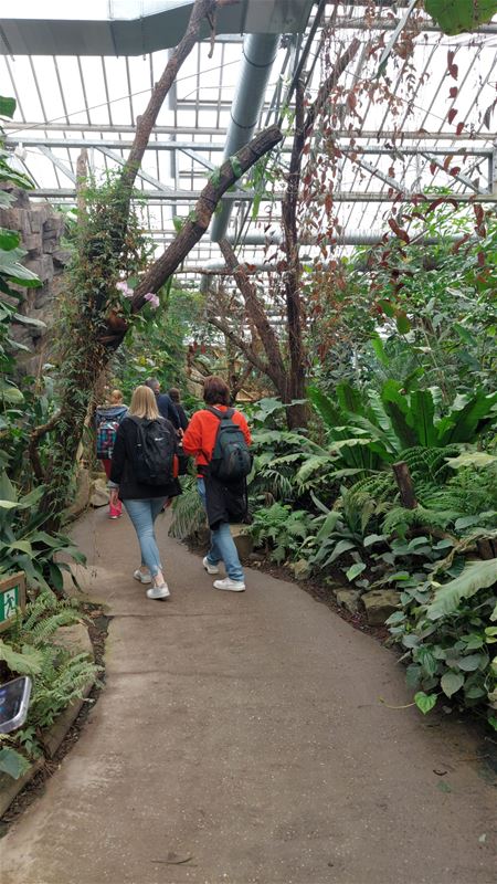 Sociaal Huis met 116 cliënten naar Planckendael