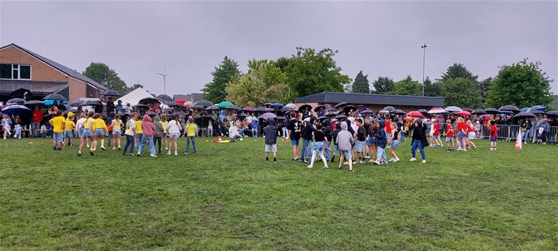 Springers were singing and dancing in the rain