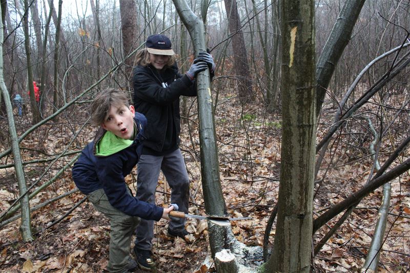 Springplankleerlingen helpen de natuur een handje