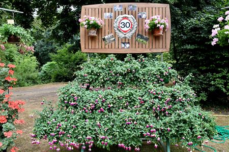 Start 30ste Fuchsiaflora overleeft de droogte