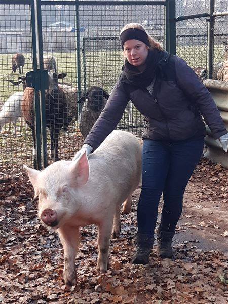 Steeds meer verwaarloosde dieren in VZOC