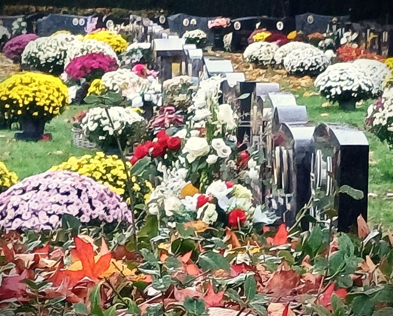 Stilstaan bij wie er niet meer is