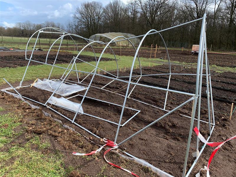 Storm vernielt serre van dorpstuintjes
