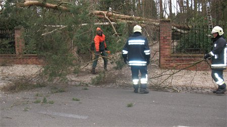 Storm zorgt voor heel wat schade