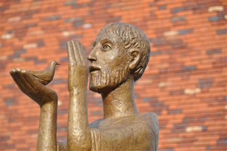 Straks vredesboomplanting bij Franciscusbeeld